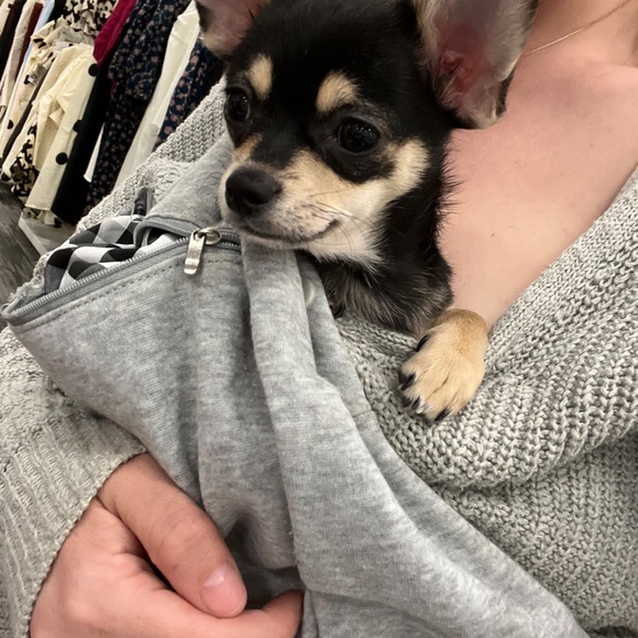 Meet your Posher, Danielle - Picture 6 of 7